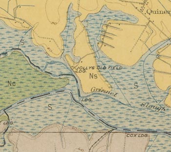 Detail from 	Soil map, North Carolina, Craven sheet, 1903.